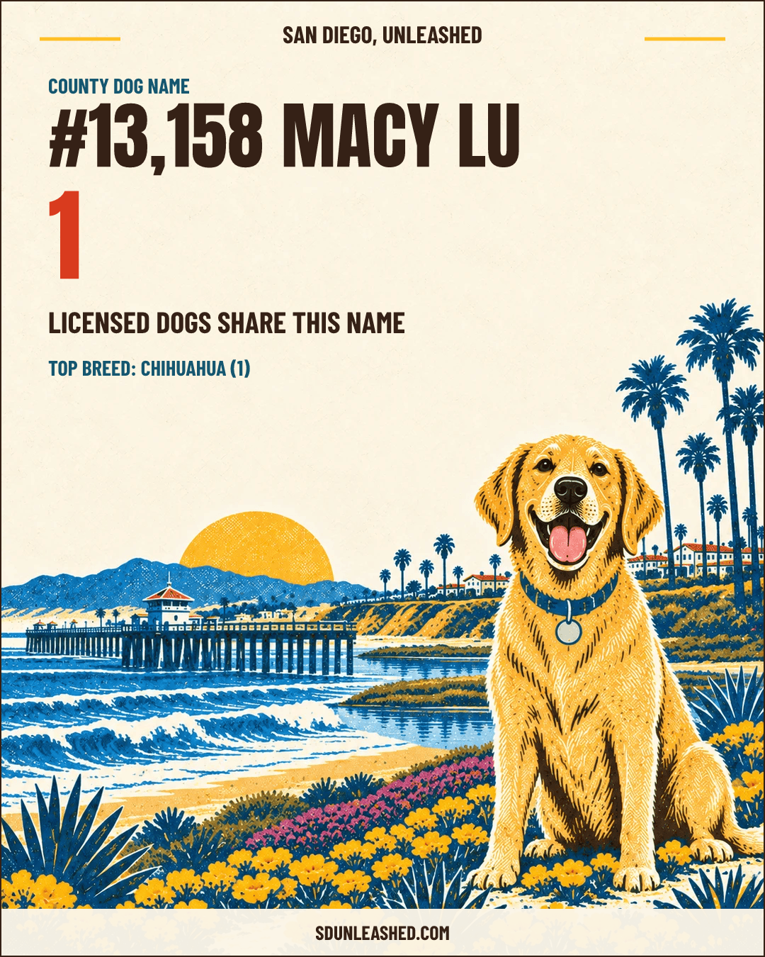 Macy Lu share card