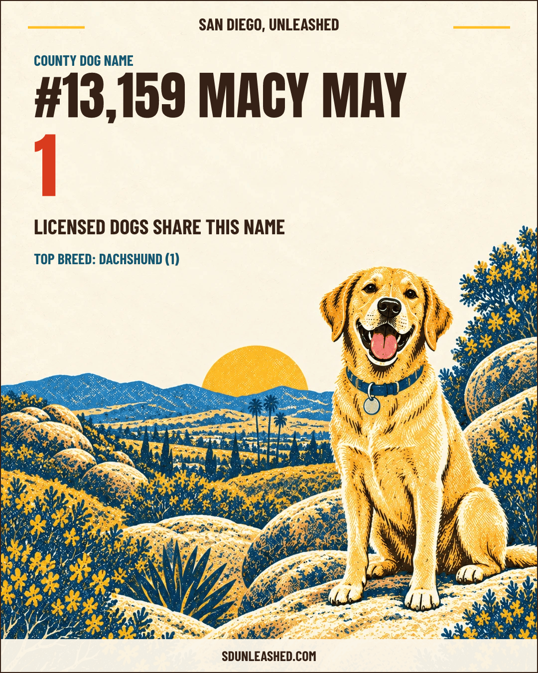 MacY May share card