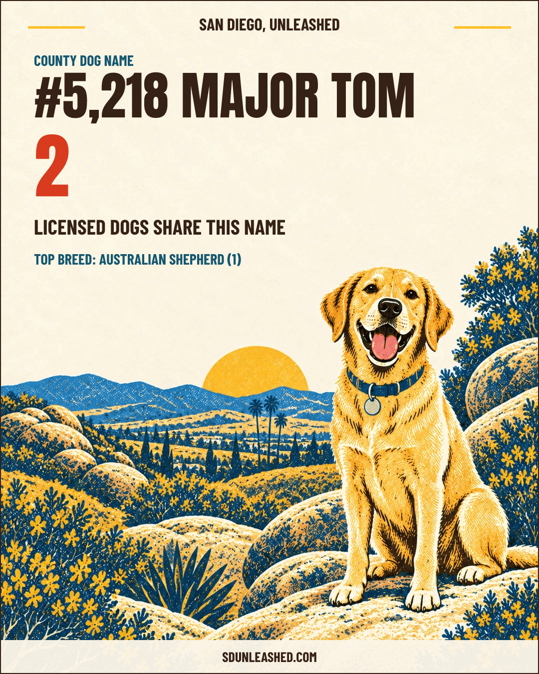 Major Tom share card