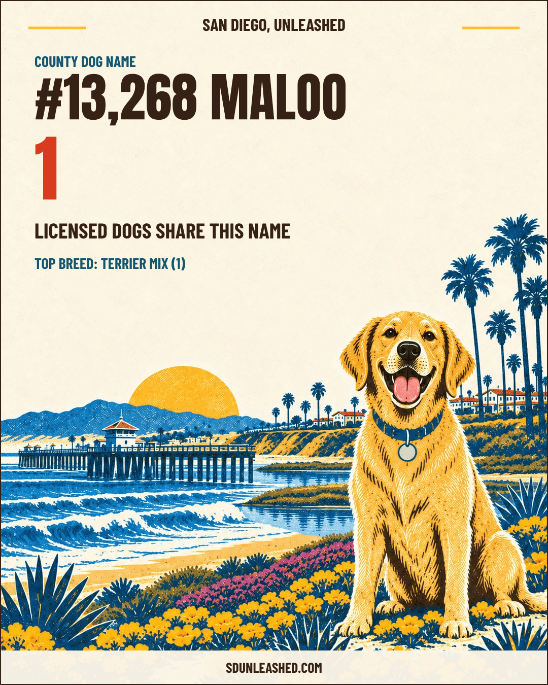 Maloo share card
