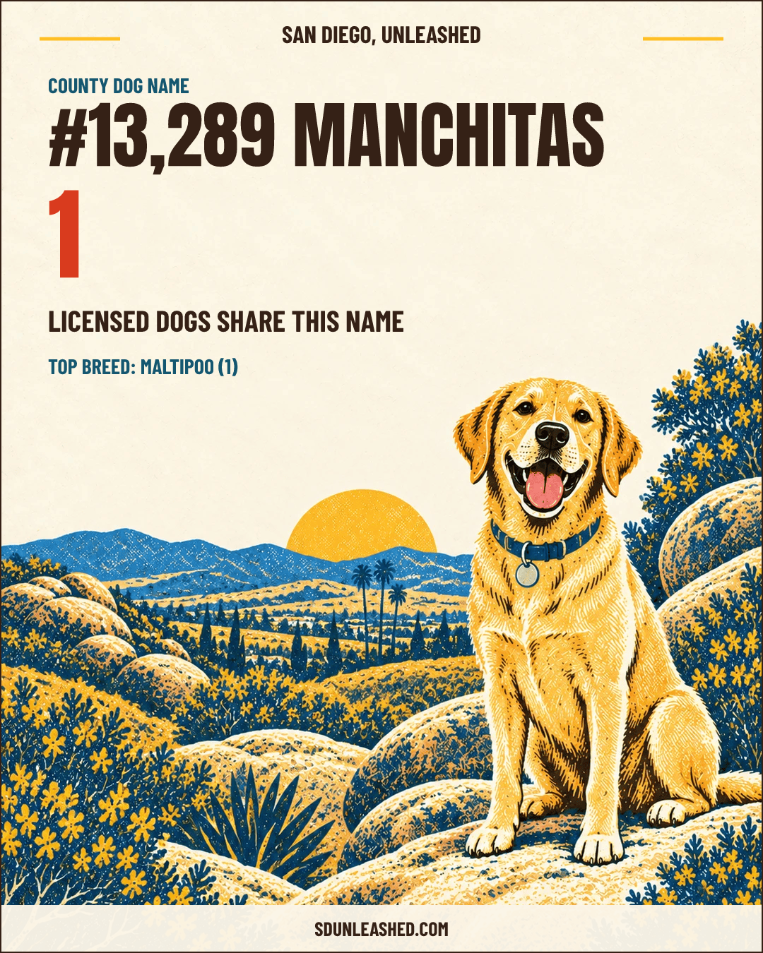 Manchitas share card
