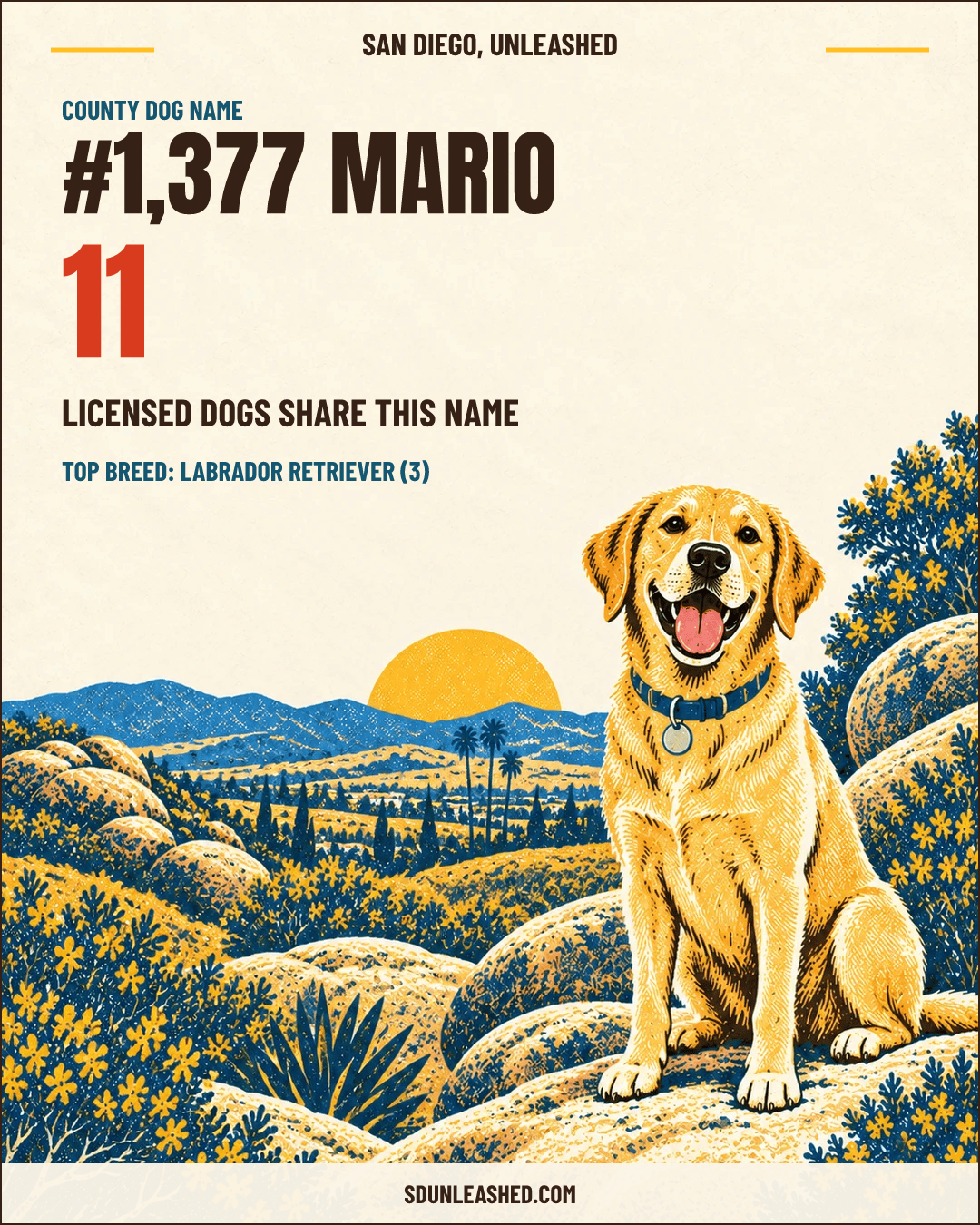 Mario share card