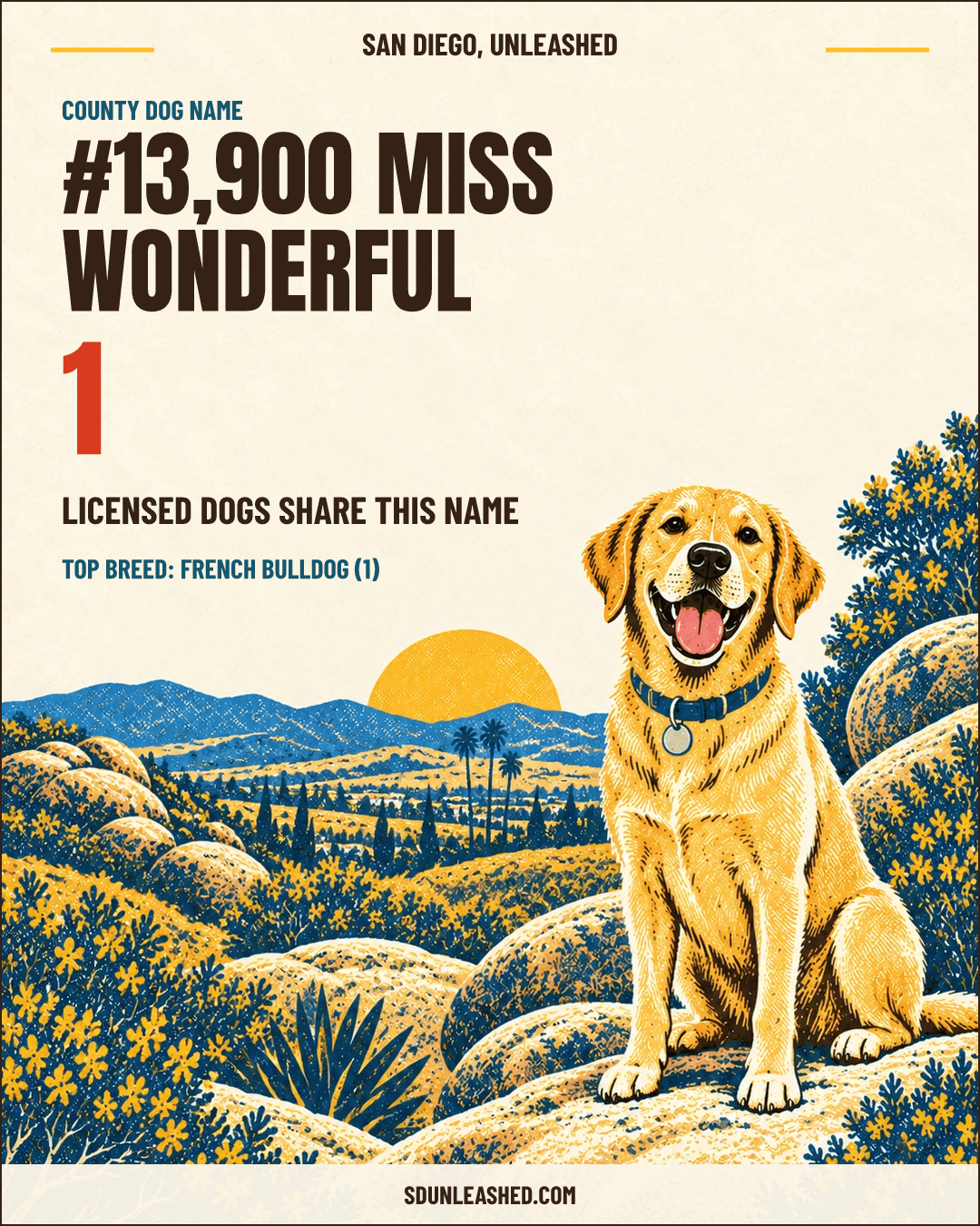 Miss Wonderful share card
