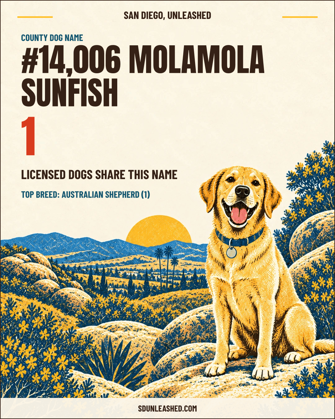 Molamola Sunfish share card