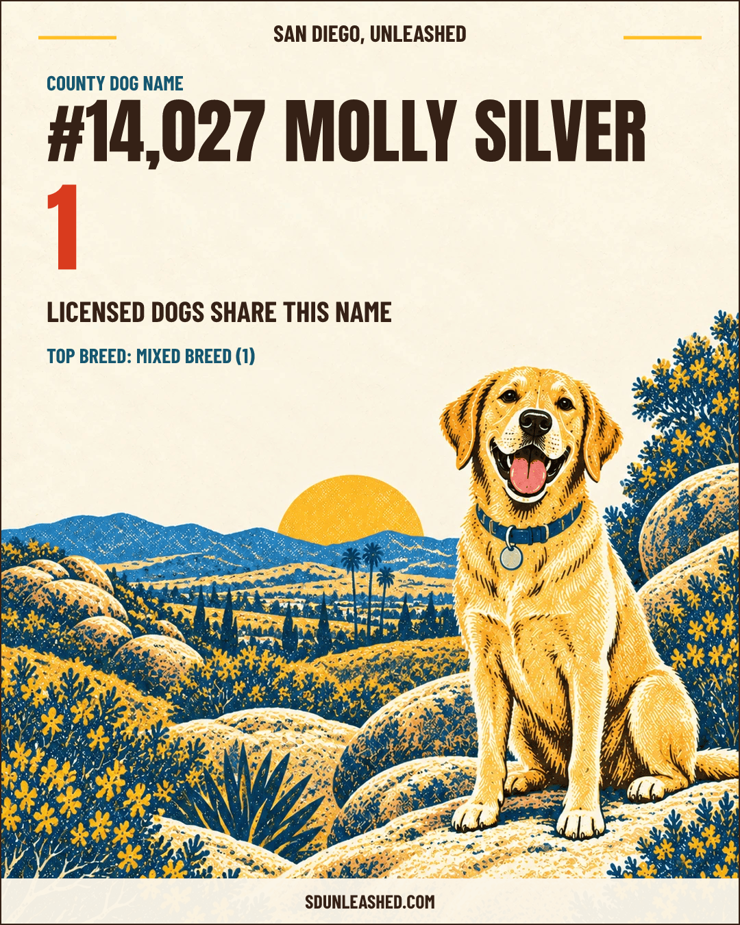 Molly Silver share card