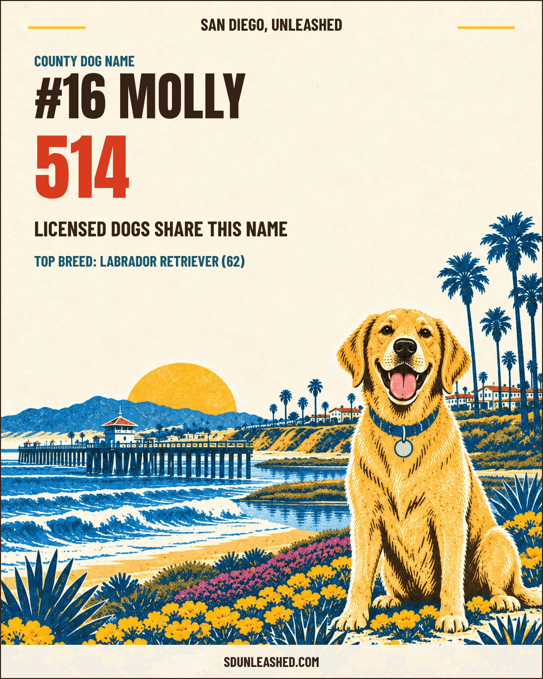 Molly share card