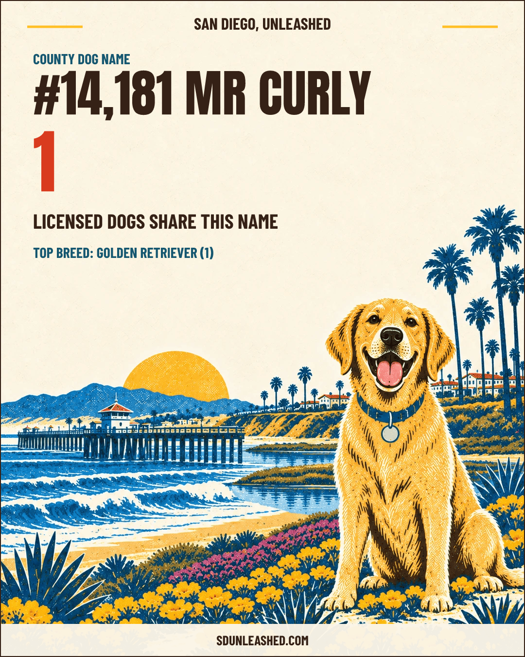 Mr Curly share card
