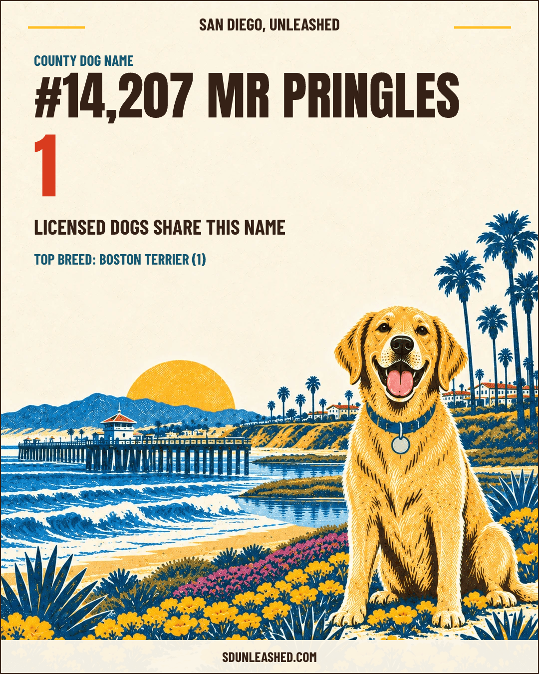 Mr Pringles share card