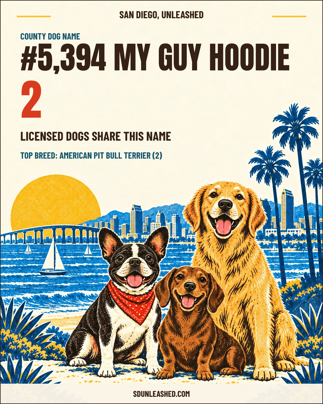 My Guy Hoodie share card