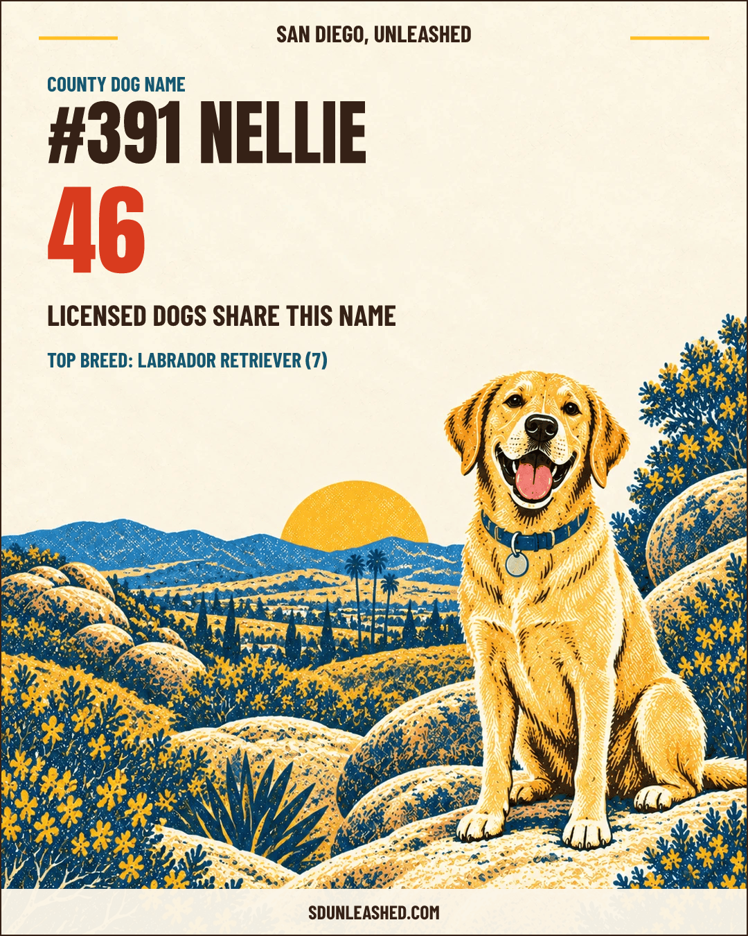 Nellie share card