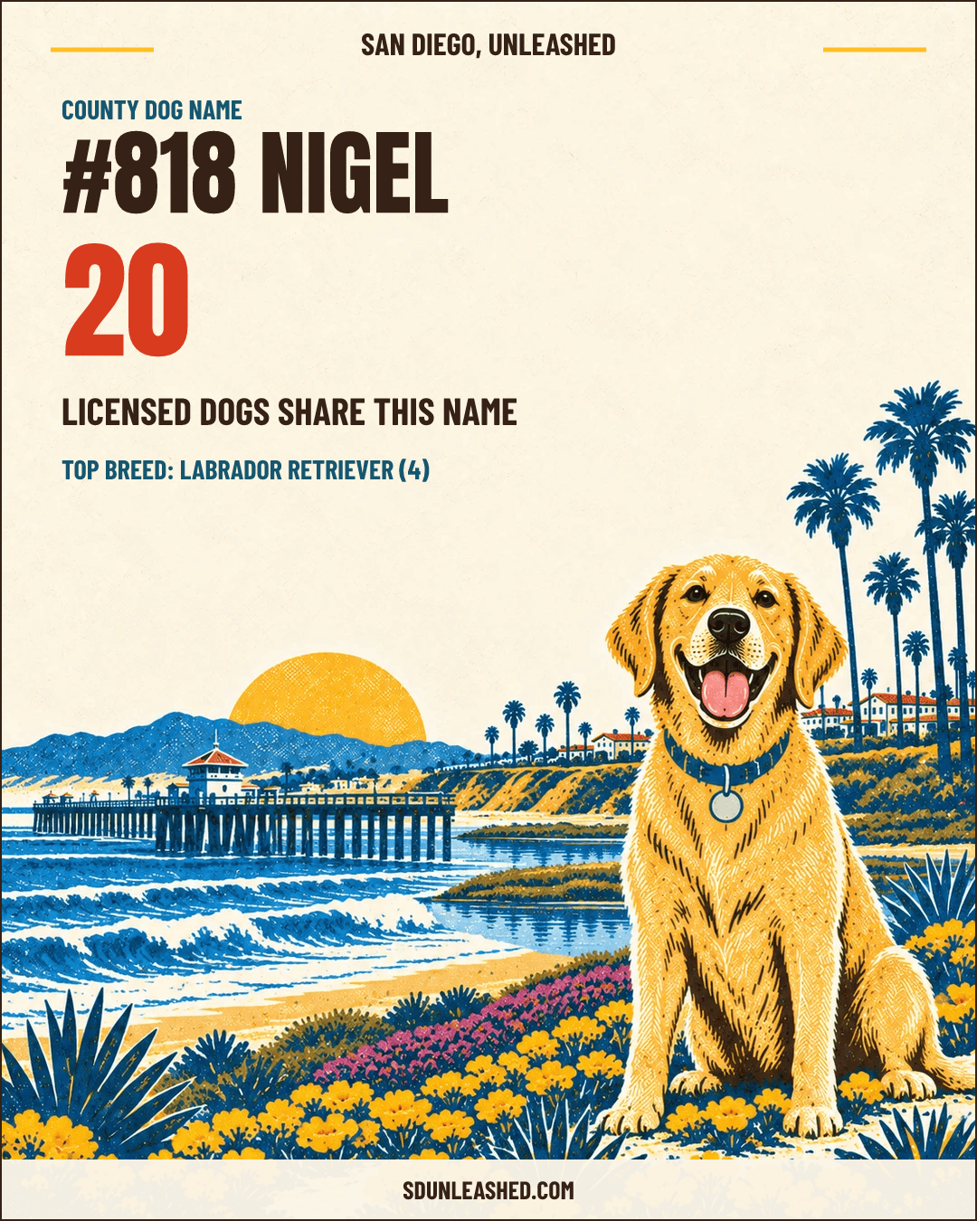 Nigel share card