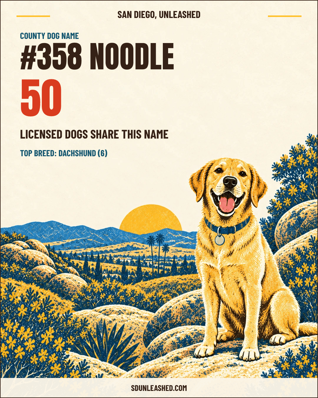 Noodle share card