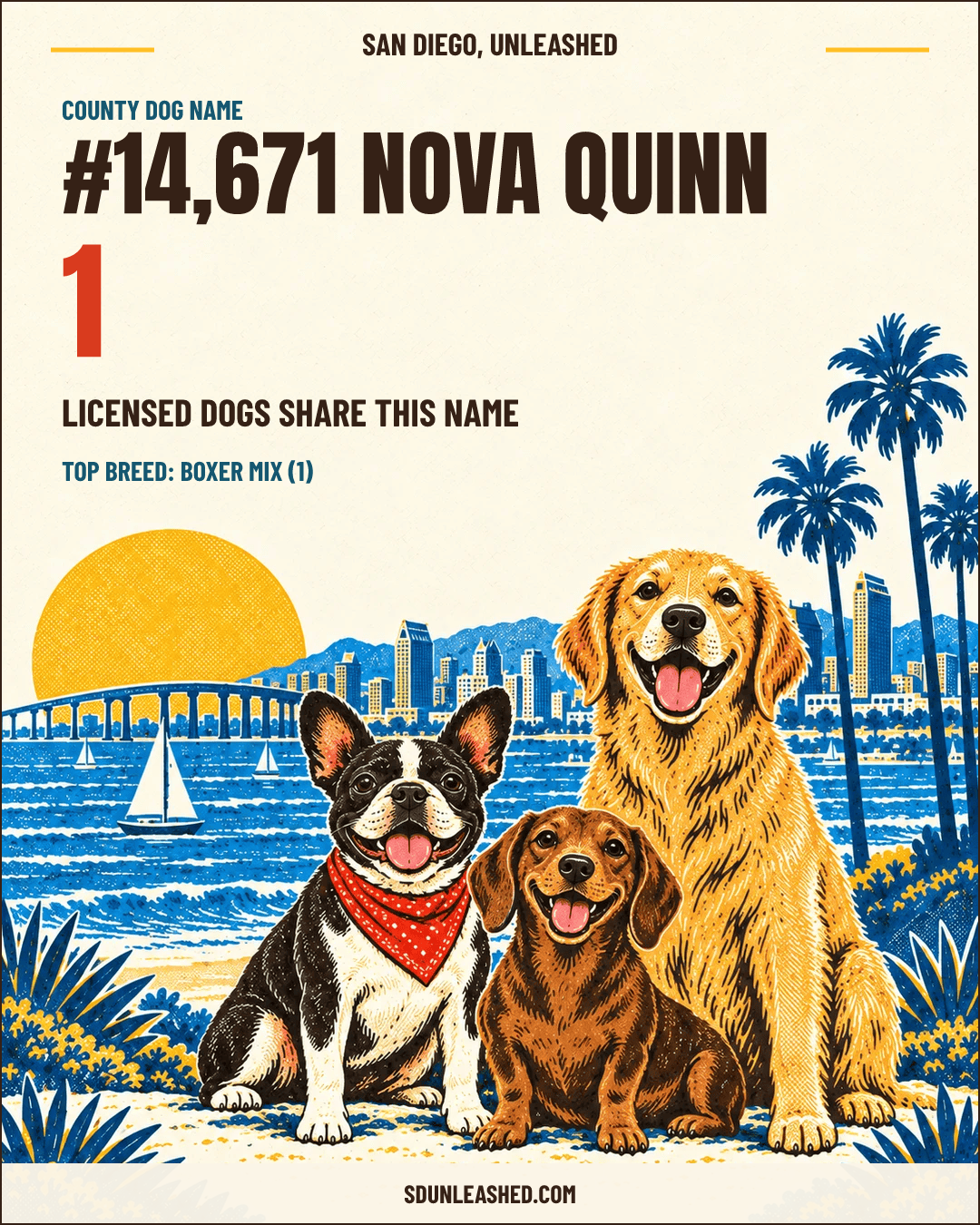 Nova Quinn share card