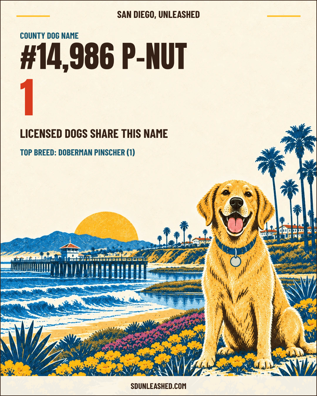 P-Nut share card