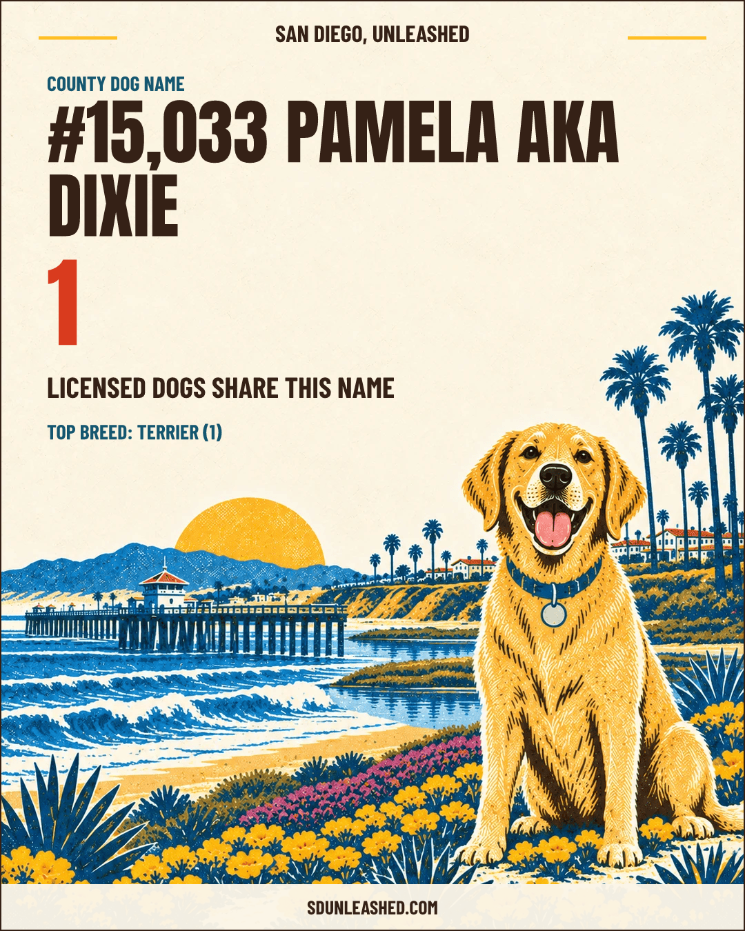 Pamela aka Dixie share card