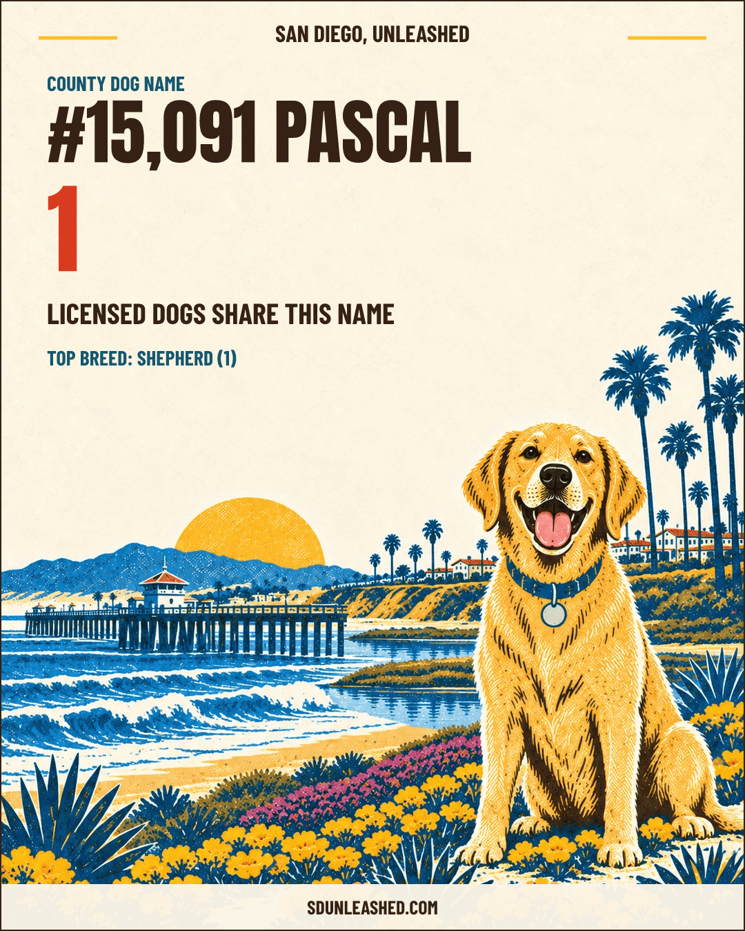 Pascal share card