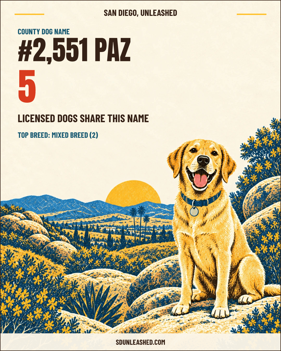 Paz share card