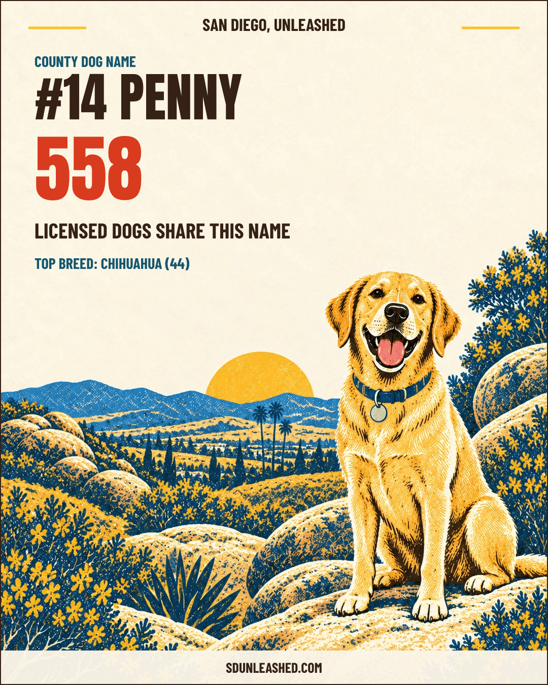 Penny share card