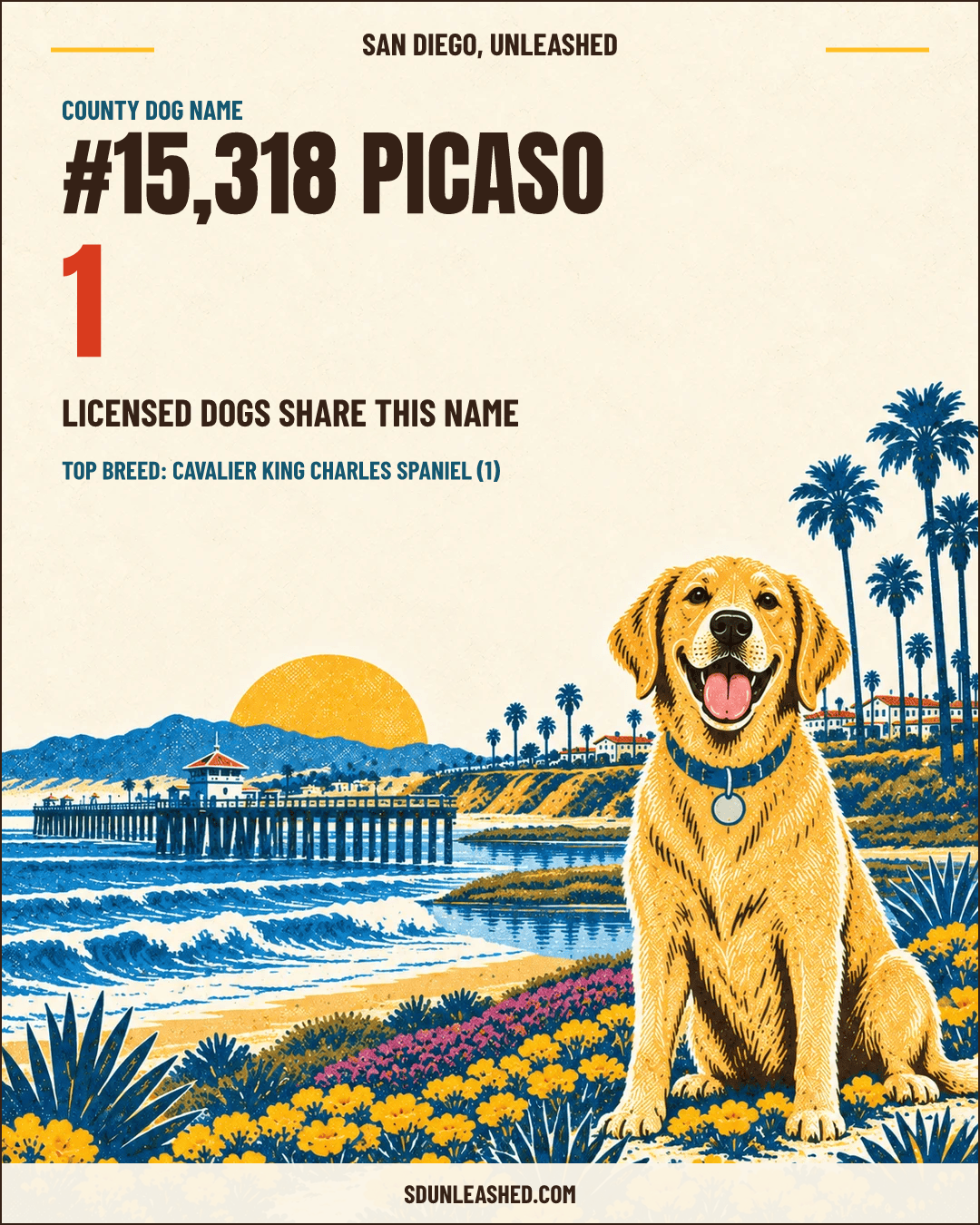 Picaso share card