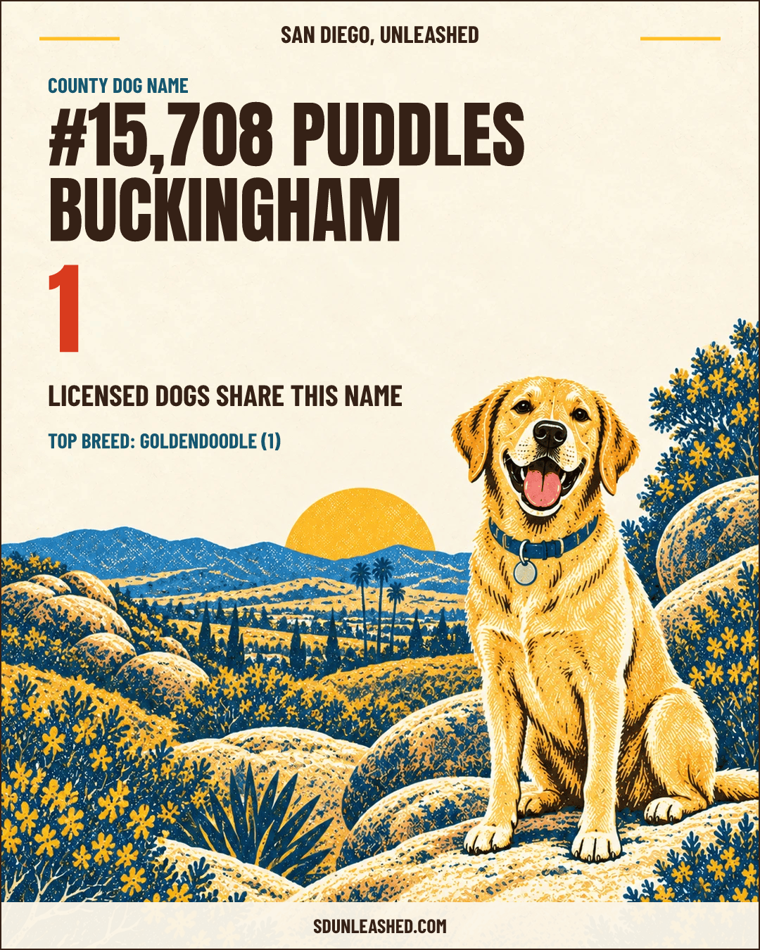 Puddles Buckingham share card