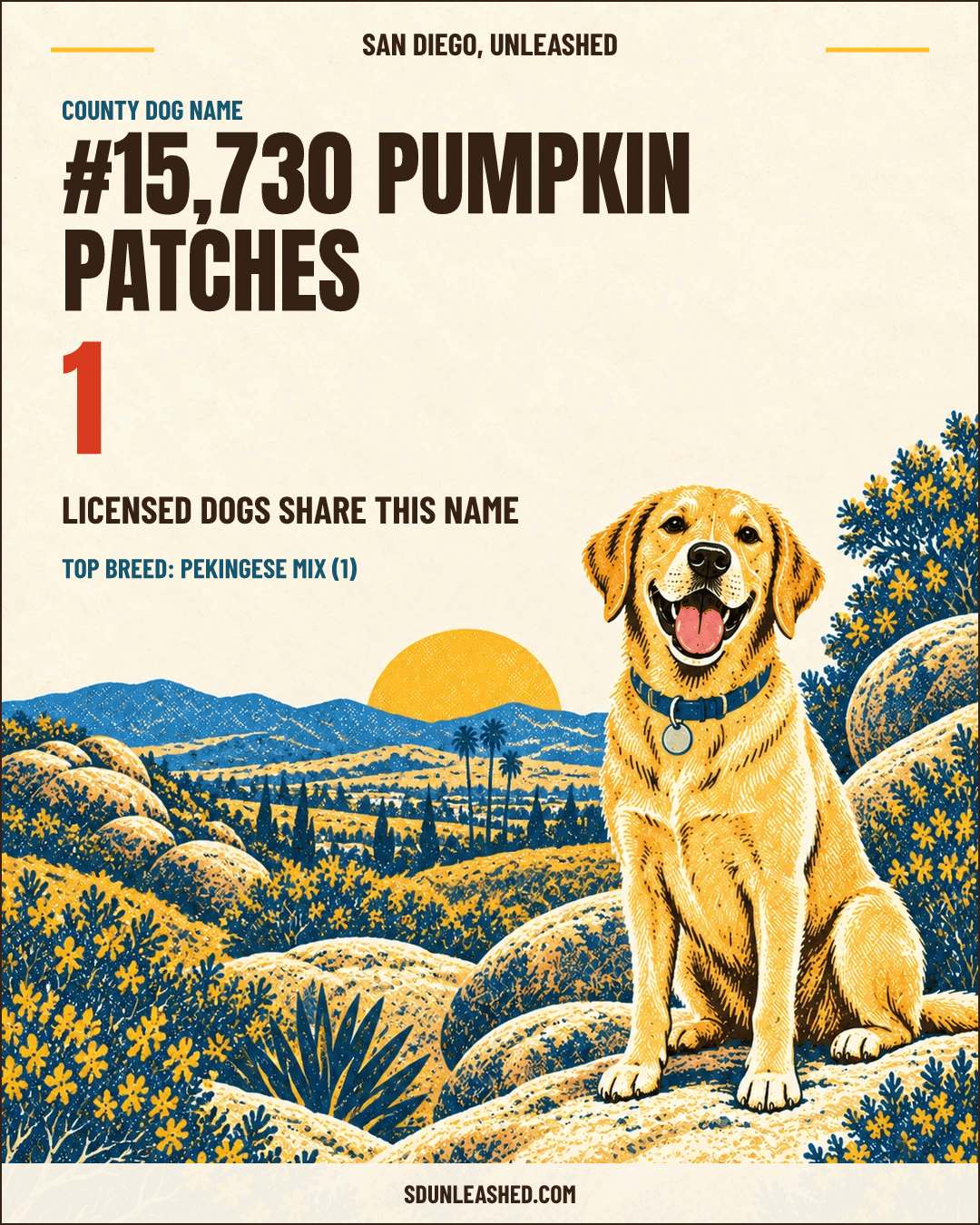 Pumpkin Patches share card