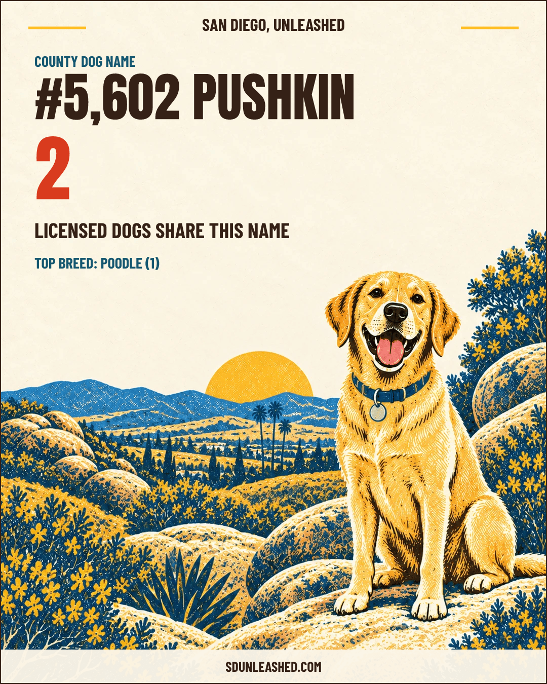 Pushkin share card