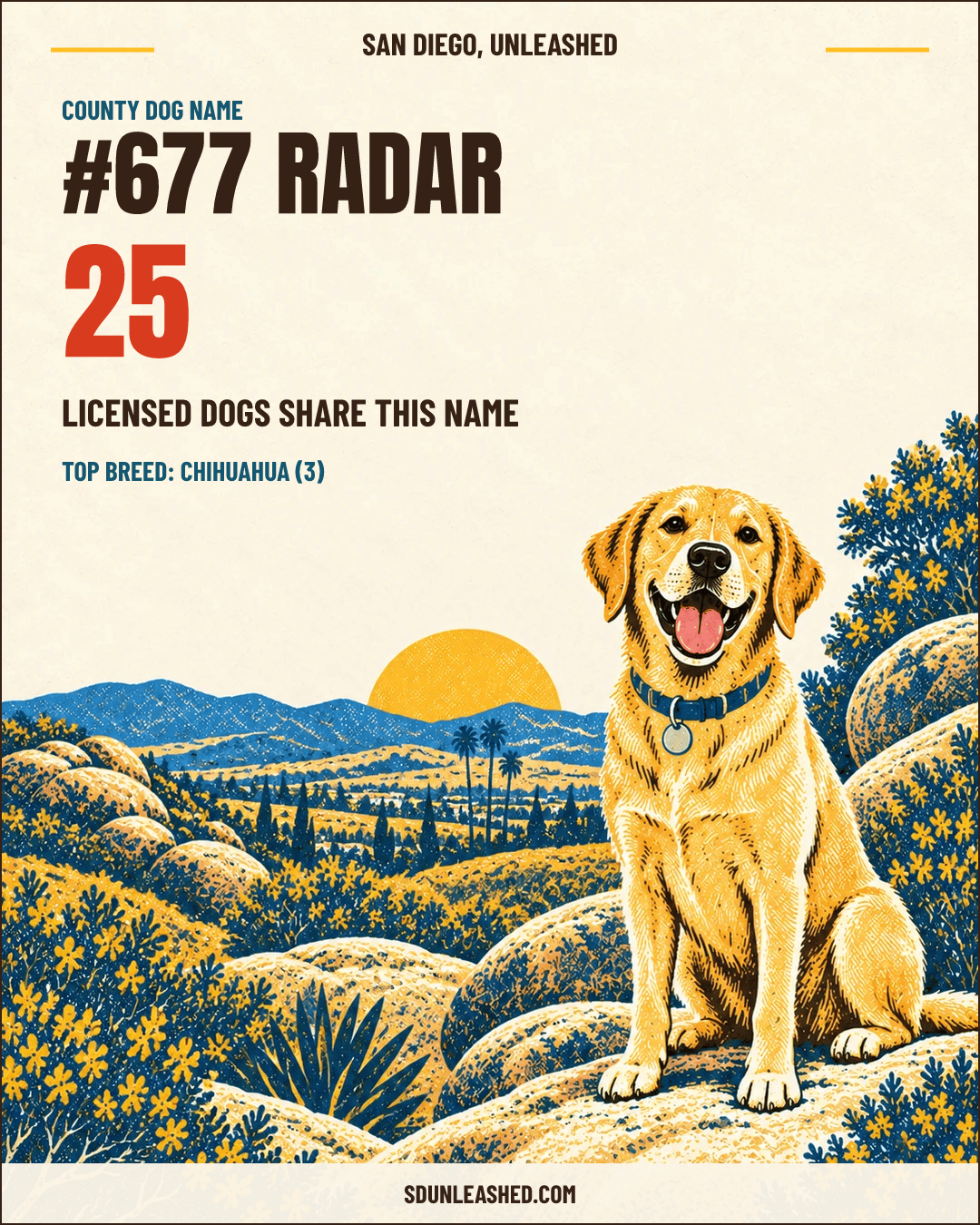 Radar share card