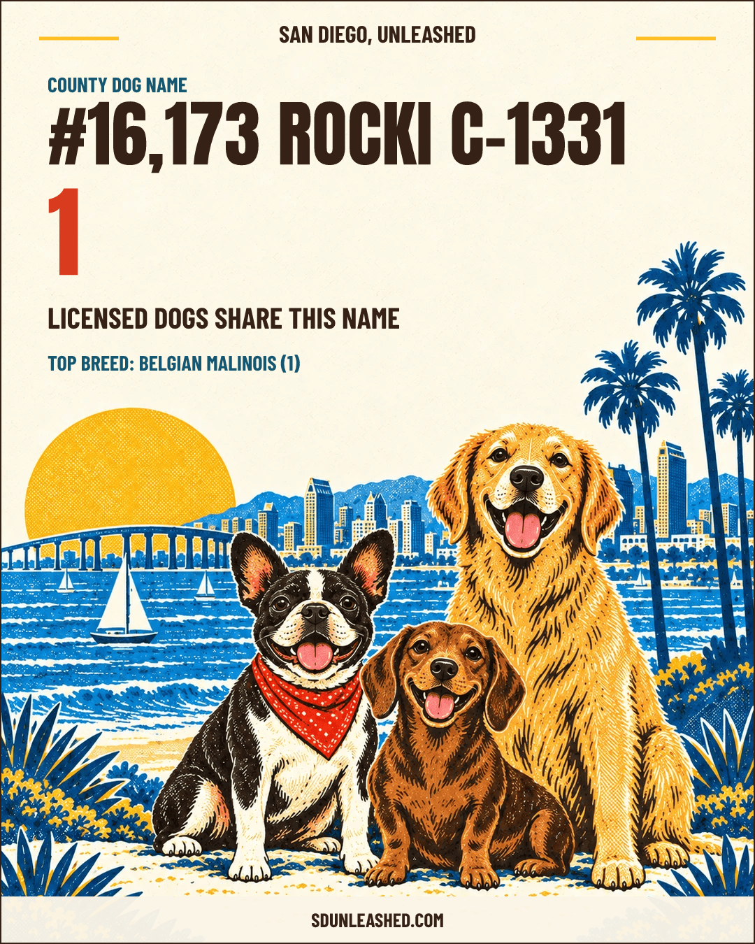 Rocki C-1331 share card