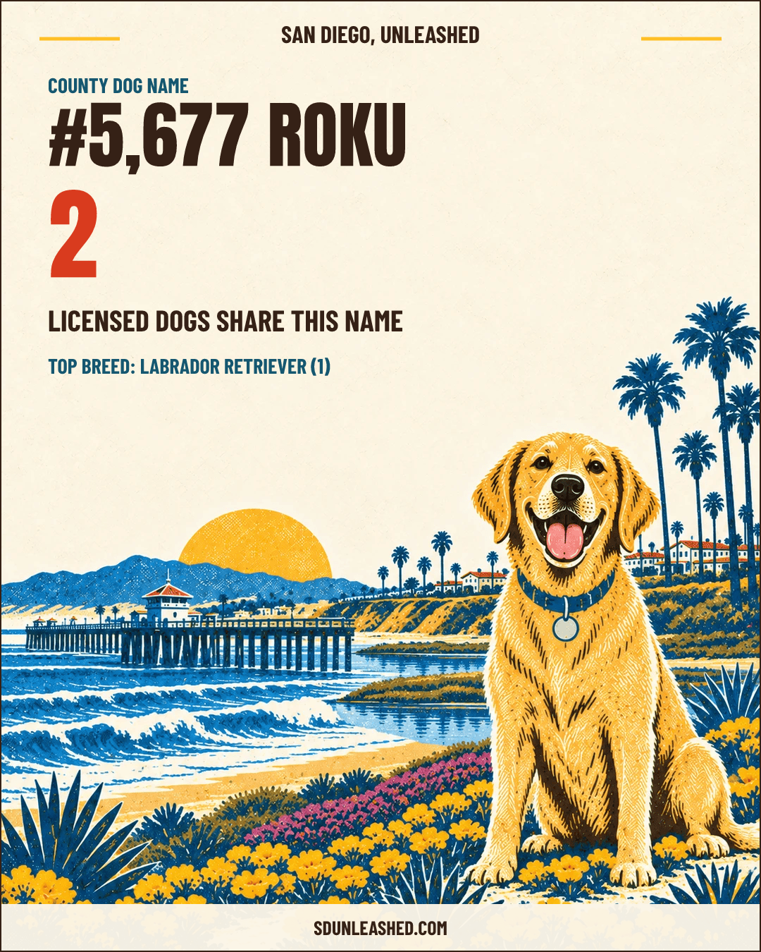 Roku share card