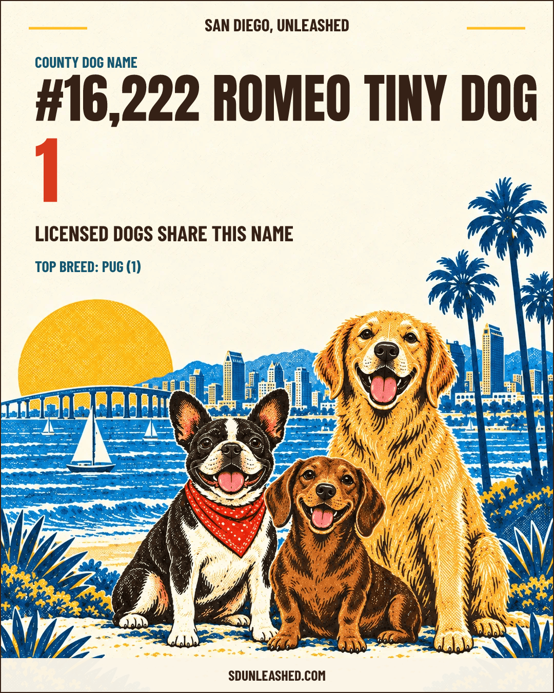 Romeo Tiny Dog share card