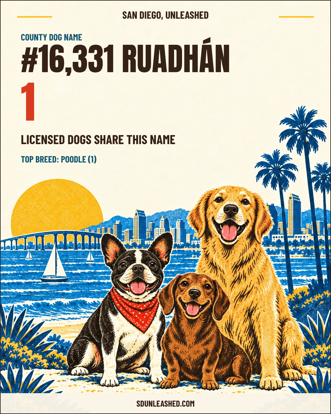 Ruadhán share card