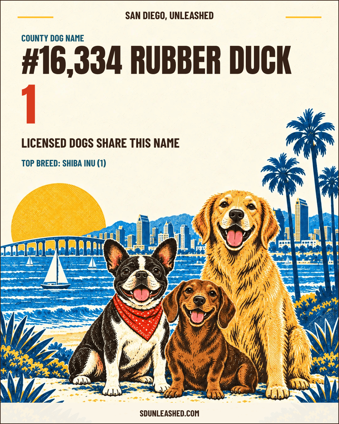 Rubber Duck share card