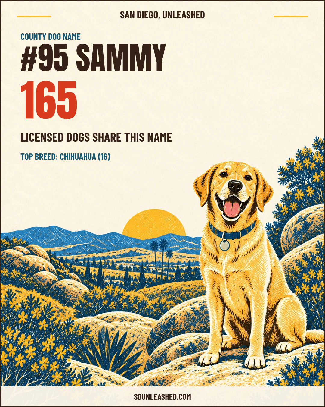 Sammy share card