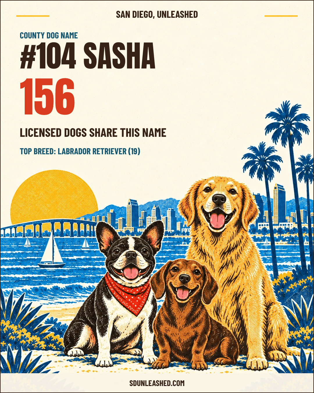Sasha share card