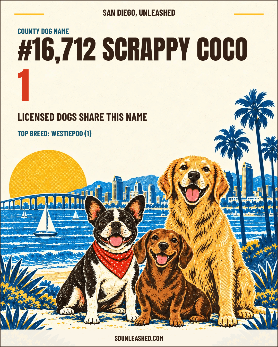 Scrappy Coco share card