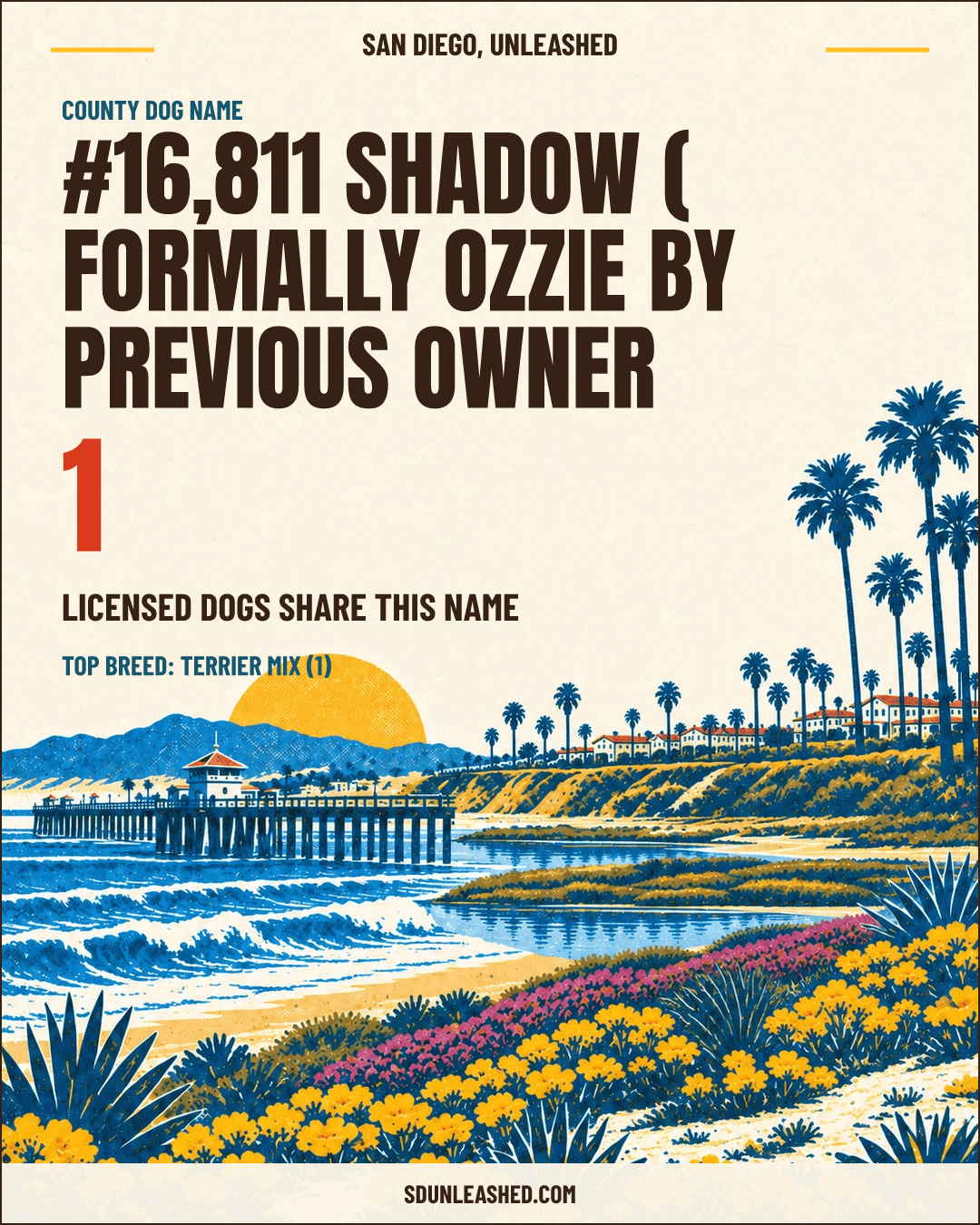 Shadow ( Formally Ozzie by previous owner share card