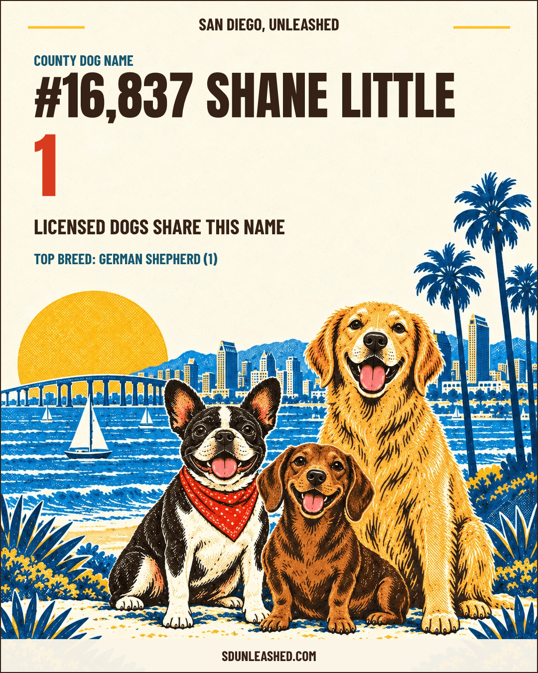 Shane Little share card