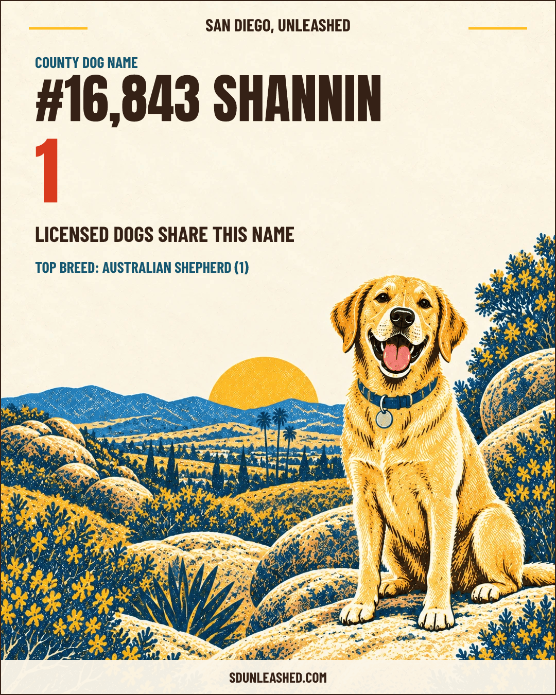 Shannin share card