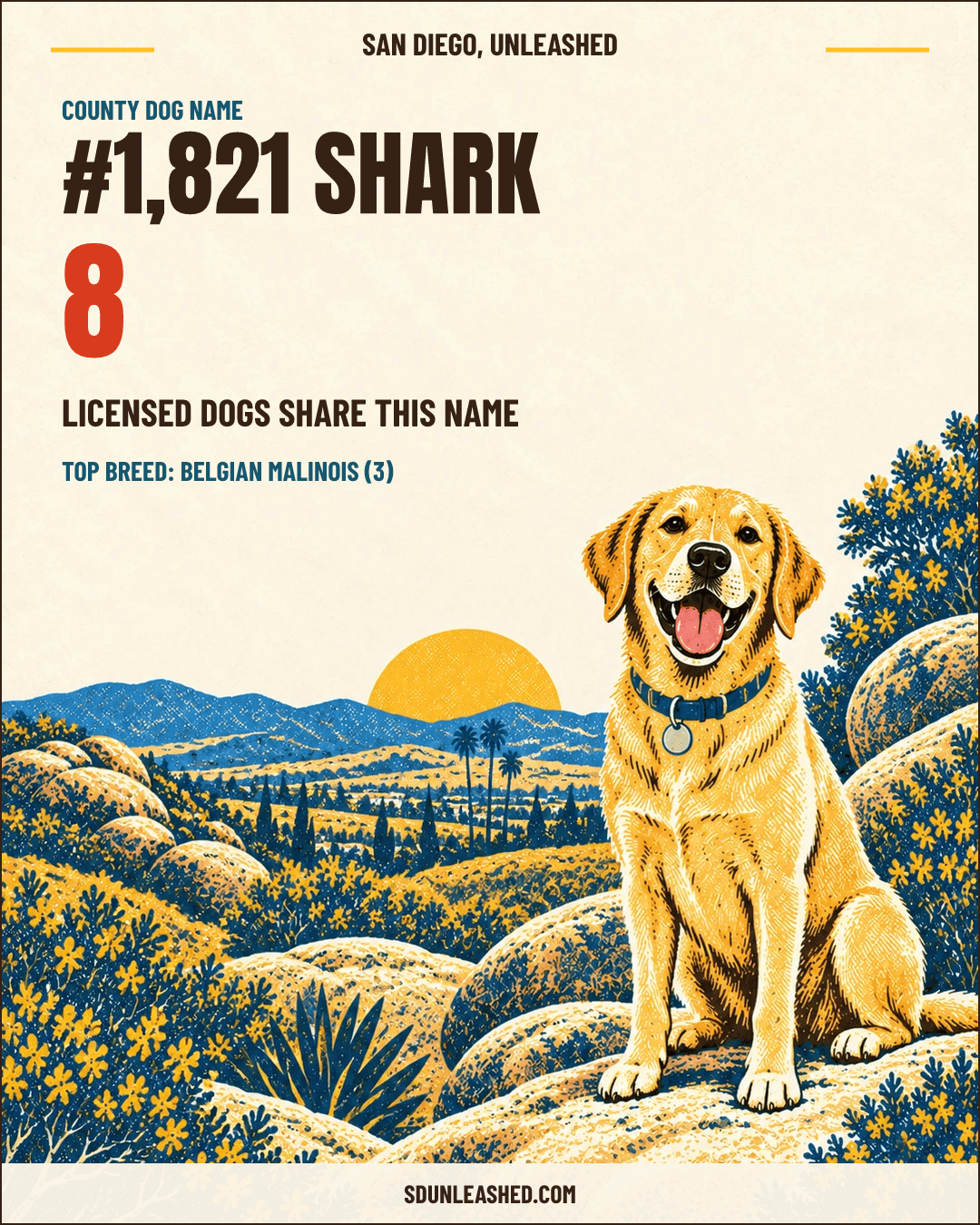 Shark share card