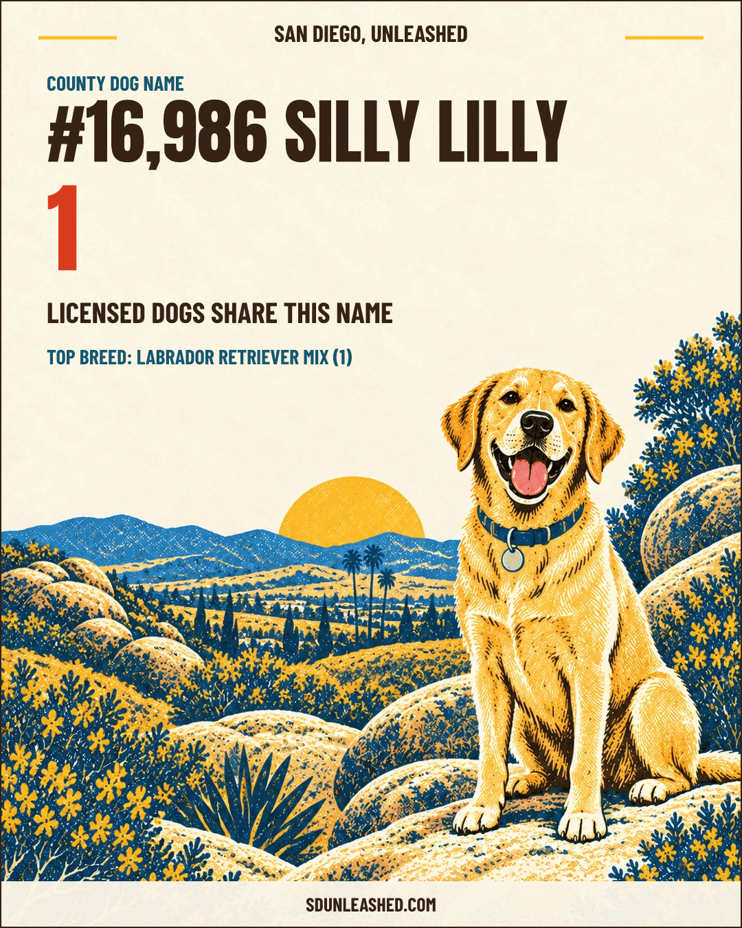 Silly Lilly share card