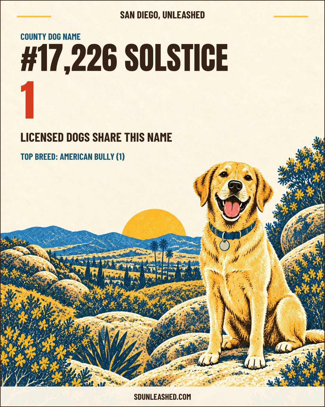 Solstice share card