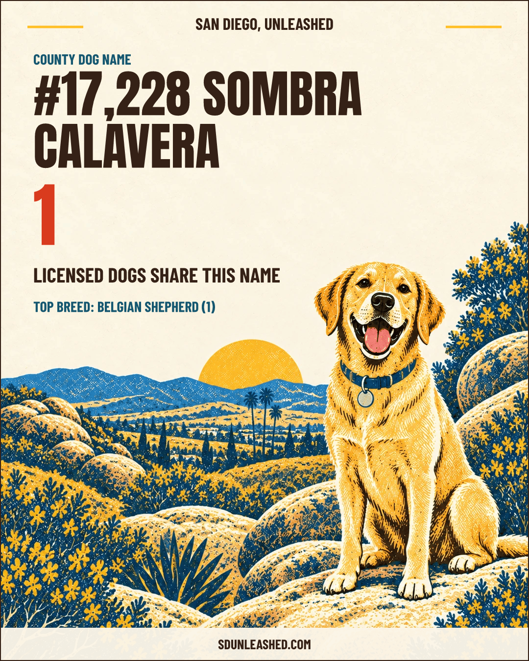 Sombra Calavera share card