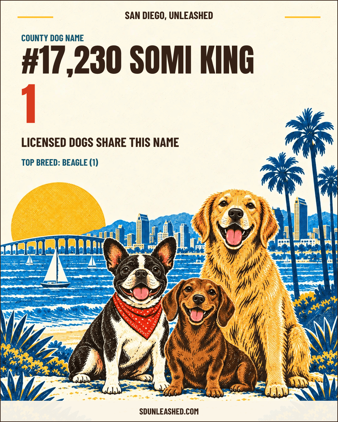 Somi King share card