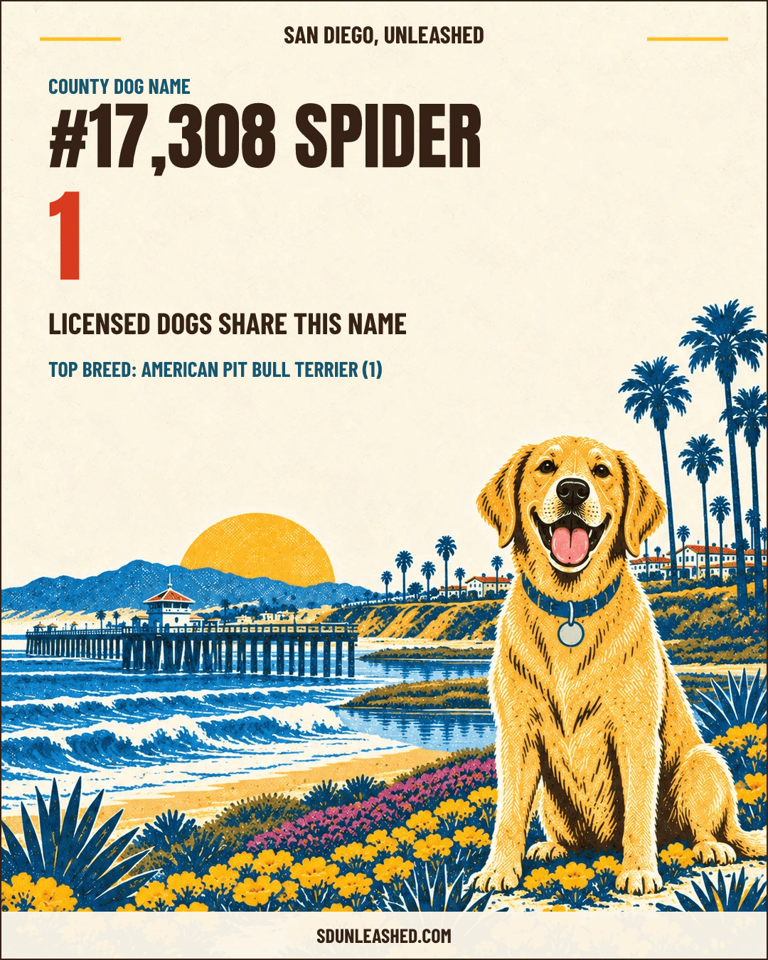 Spider share card