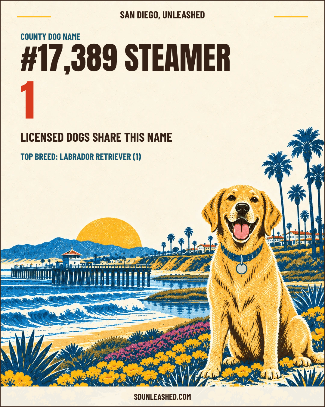 Steamer share card