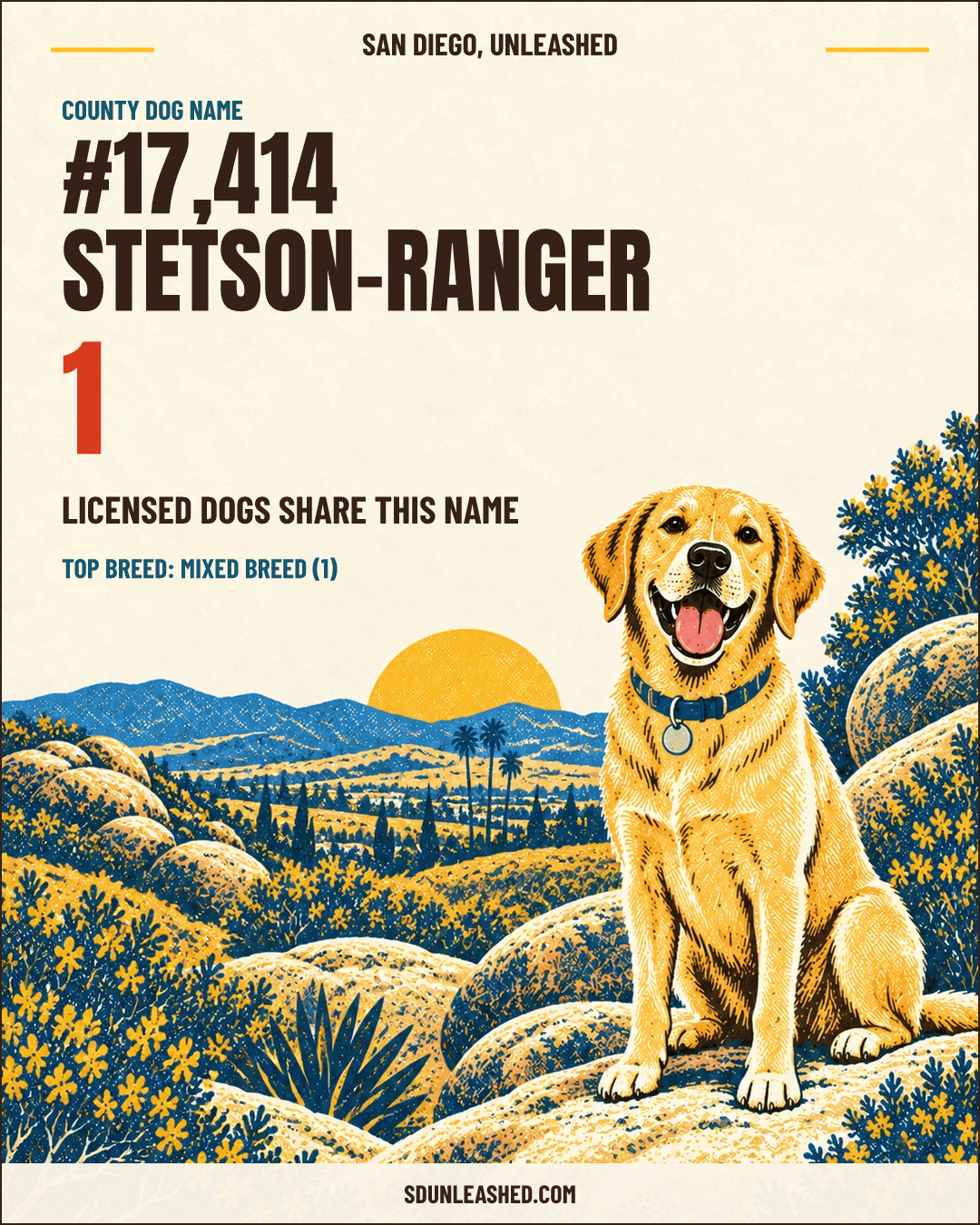 Stetson-Ranger share card