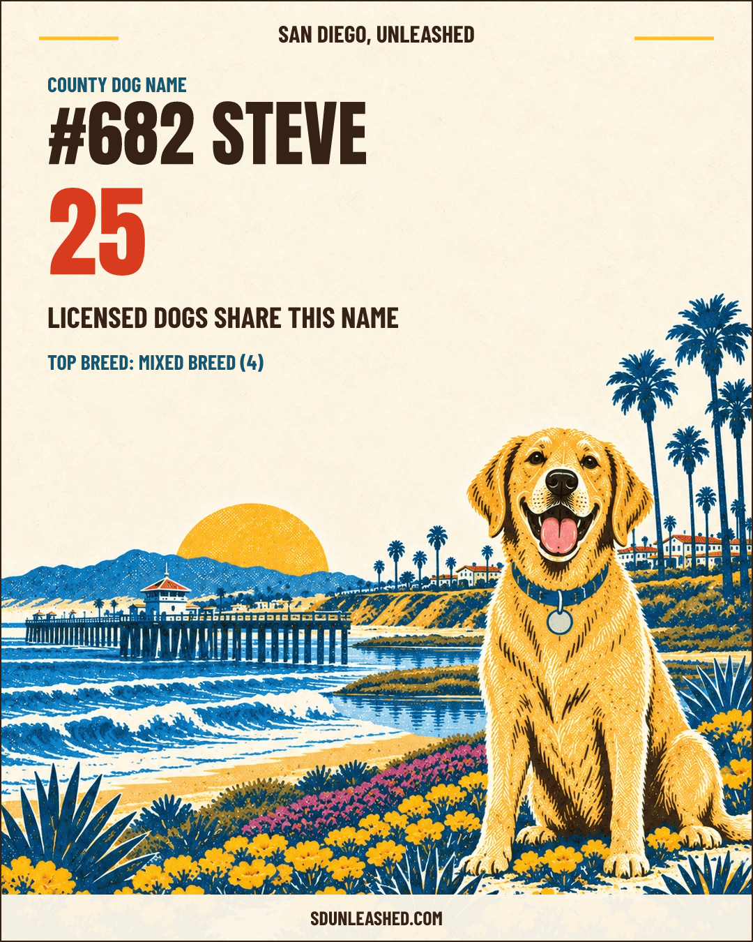 Steve share card