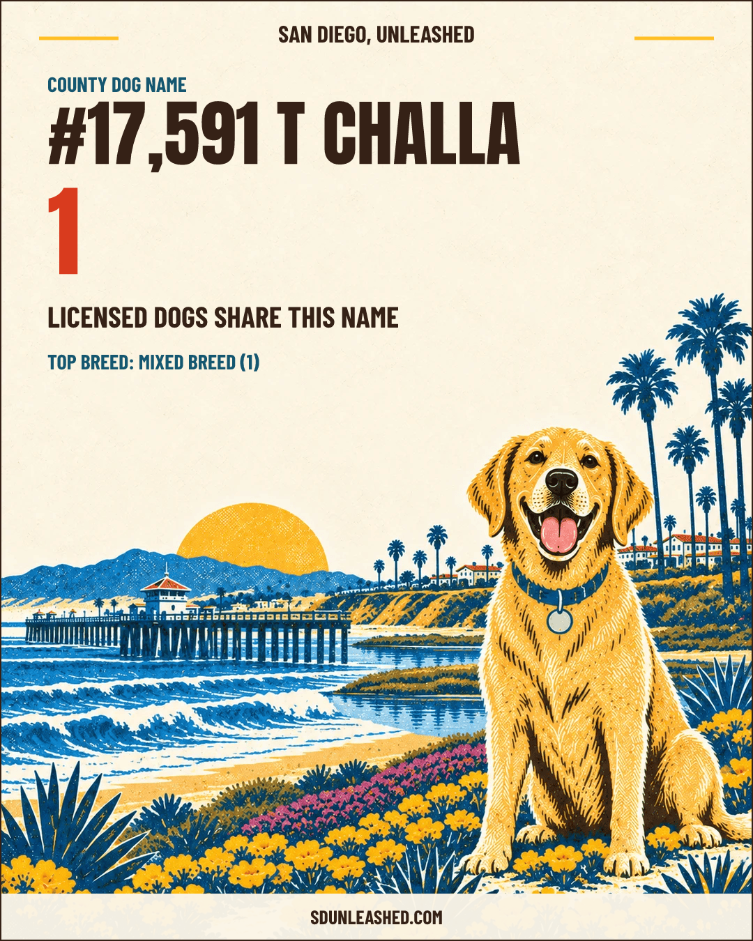 T Challa share card