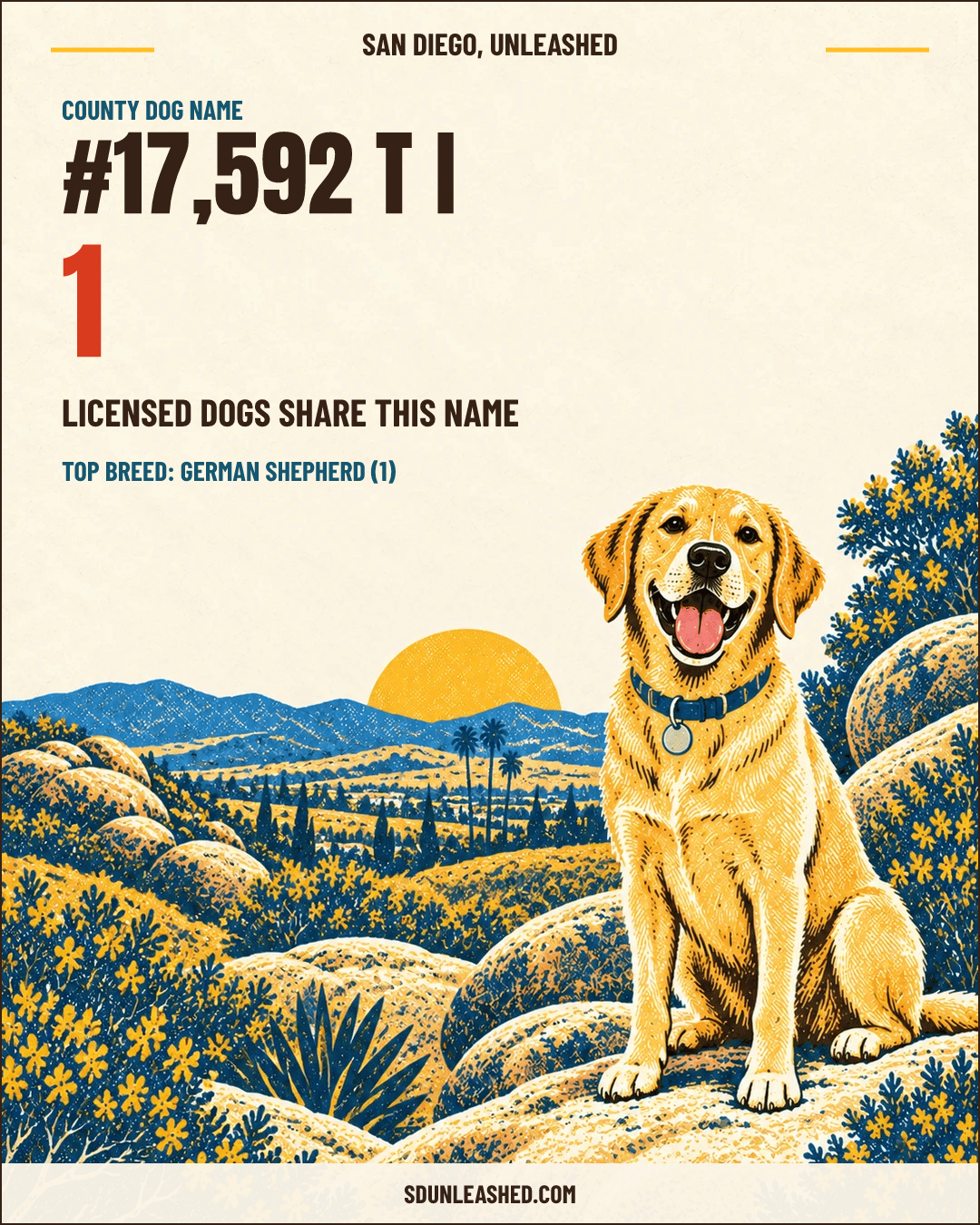 T I share card
