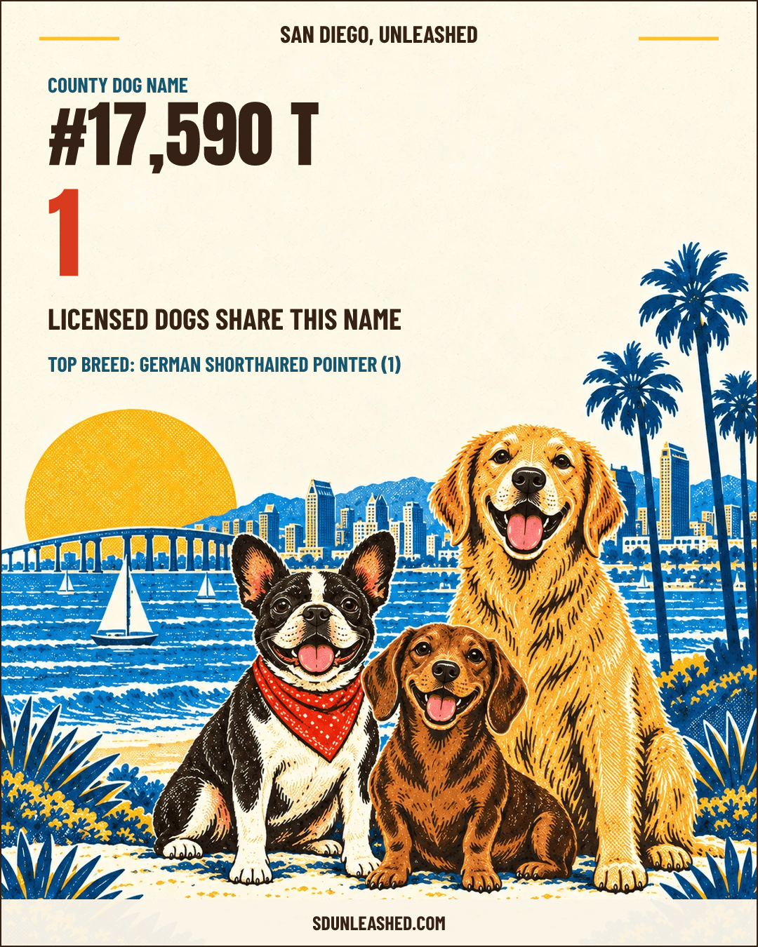 T share card